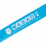 WSGD04-BLUE