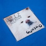 WSGD23